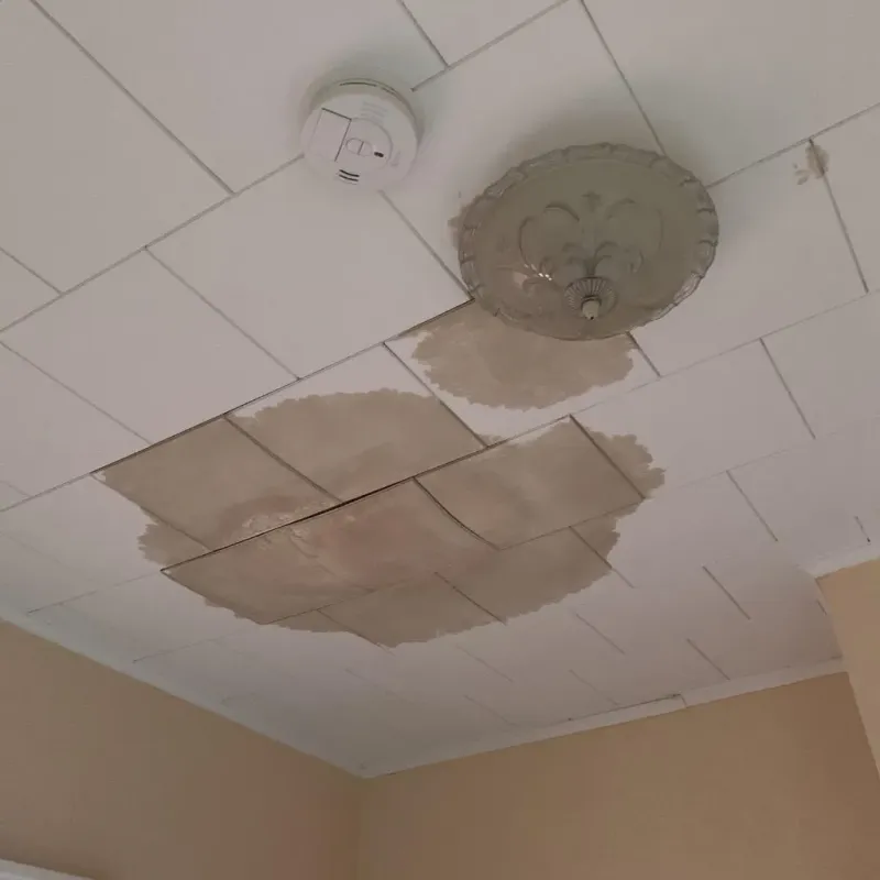 Ceiling Water Damage Repair in Brea, CA