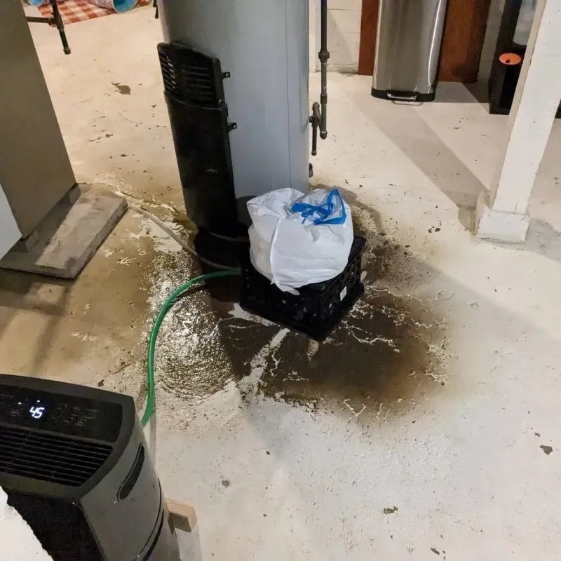 Sewage Backup Cleanup Service in Brea, CA